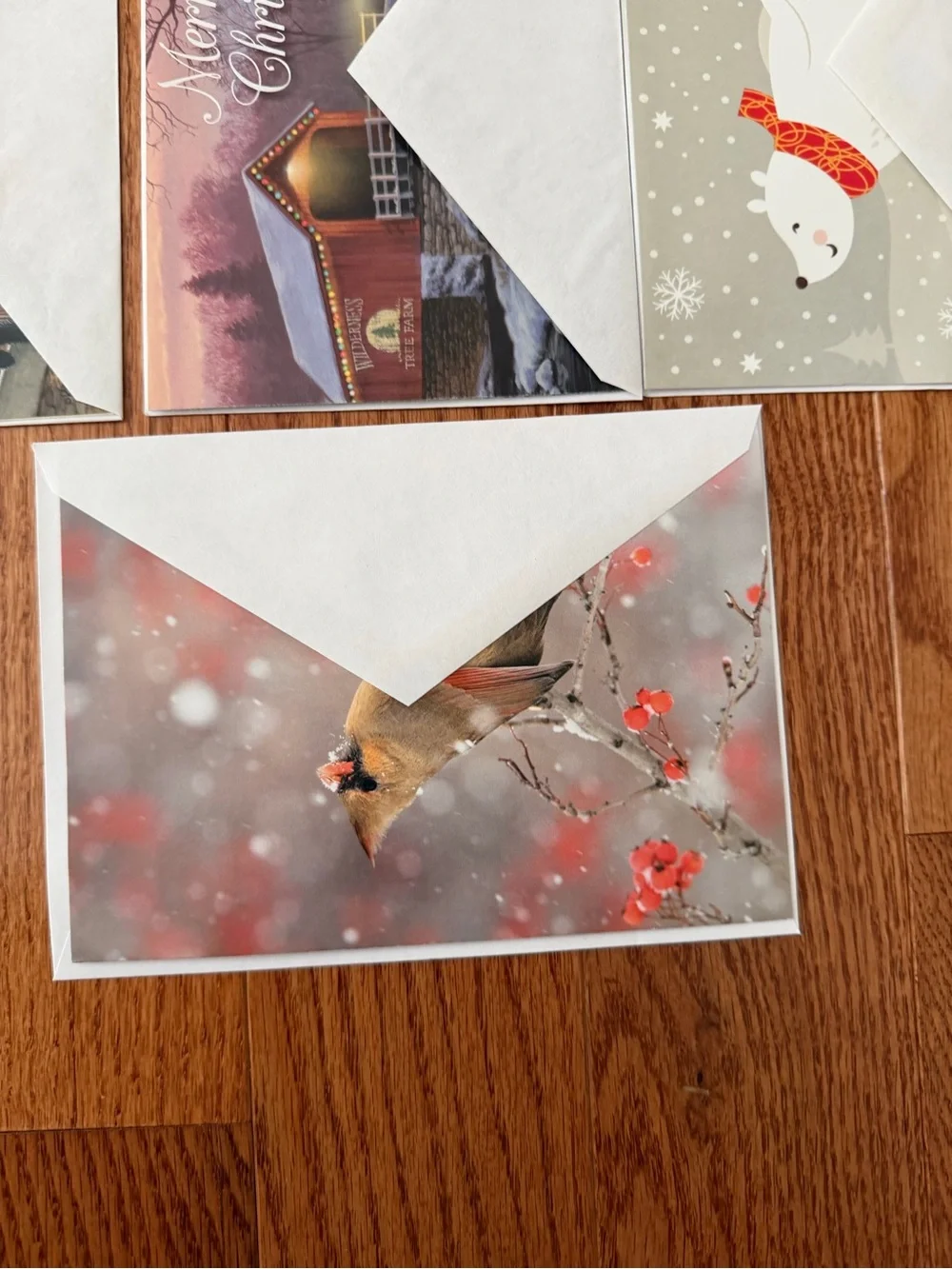 New Assorted Christmas & Holiday Greeting Cards Set of 10 with Envelopes